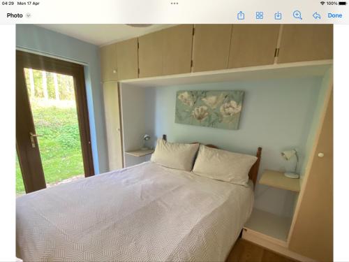 a bedroom with a white bed and a window at Arbor Cottage in Eastbourne