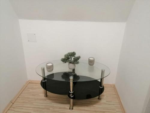 a glass table with a plant on it in a room at Appartement bei Schloß Ulmerfeld 
