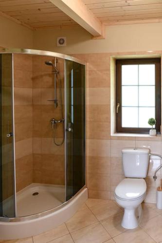a bathroom with a toilet and a shower and a window at Domek w Klisiówkach in Ujsoły