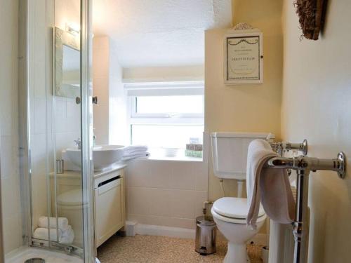 La salle de bains est pourvue de toilettes, d'un lavabo et d'une douche. dans l'établissement Bellringers Cottage, Llandegla, à Llandegla