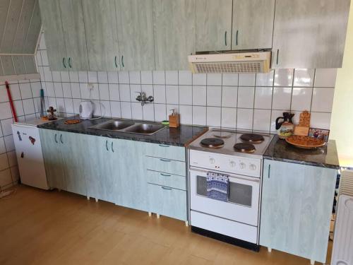 cocina con fogones blancos y fregadero en Green House with Lake View en Perućac