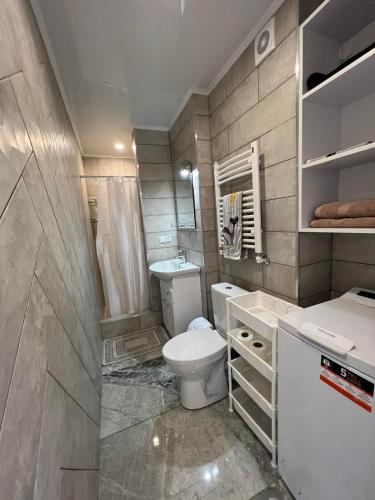 a bathroom with a toilet and a sink at Downtown Accommodation in Chişinău
