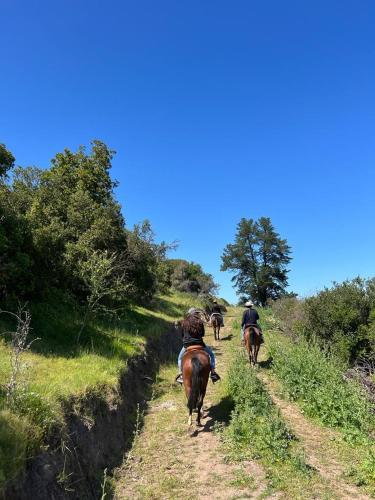 a group of people riding horses down a trail at CASONA SAN PEDRO Hotel Boutique in San Javier