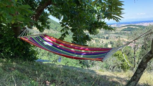 a hammock hanging from a tree on a hill at Casina Orione in Montecatini Val di Cecina