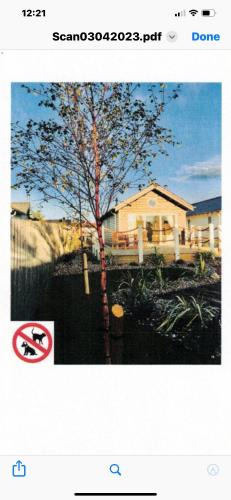 a picture of a tree in front of a house at Boardwalk@TheBay, Filey in Filey