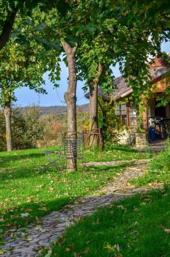 an old house with trees next to a road at Casele cu Stuf B&B Haus Ulrike in Sălicea