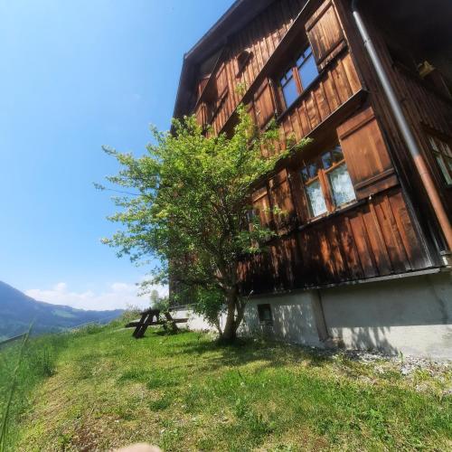 a wooden building on a hill with a tree next to it at Sunnaschi Appartements - Wohnungen oder gesamt als "Hütte" in Laterns