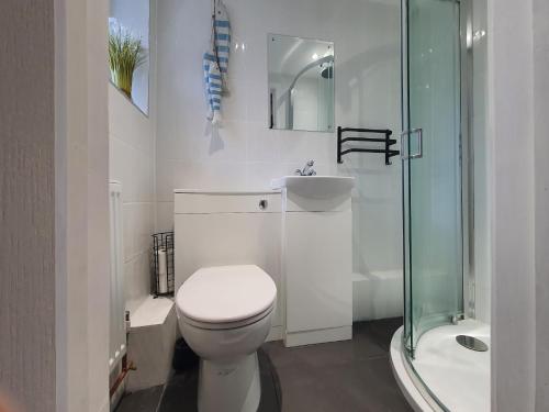 a bathroom with a toilet and a sink and a shower at Hayling Hideaway, private cosy annex near to beach in South Hayling
