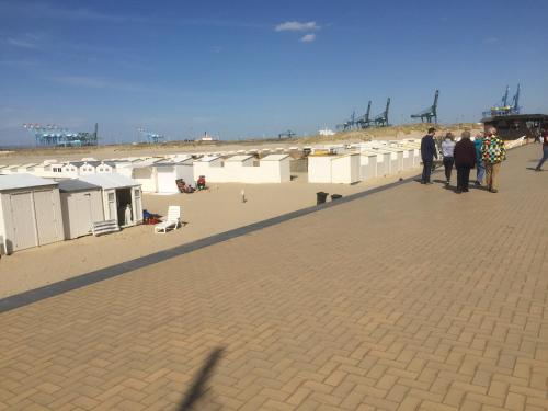 a group of people standing on a beach at Hotel Atlas in Zeebrugge