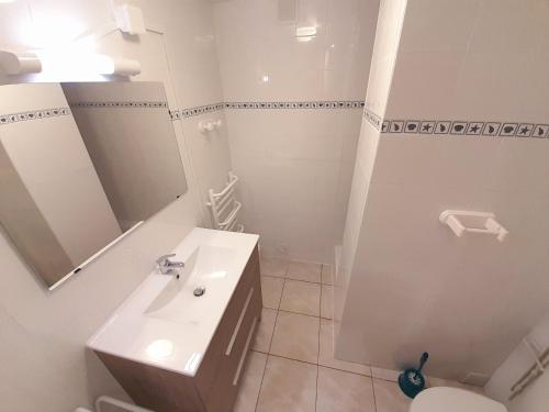 une salle de bain avec un lavabo, des toilettes et un miroir dans l'établissement Appartement Village Naturiste Poeme, au Cap d'Agde