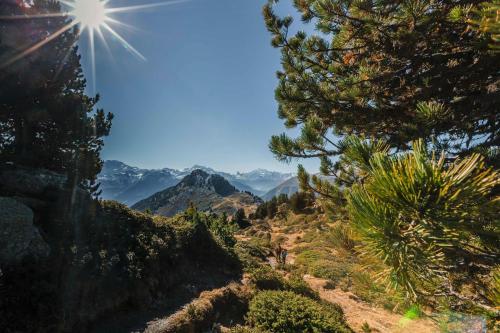 a view from the top of a mountain with trees at Aleid Sunshine in Fiesch
