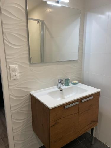 uma casa de banho com um lavatório e um espelho em Appartement St Amant Tallende em Saint-Amant-Tallende