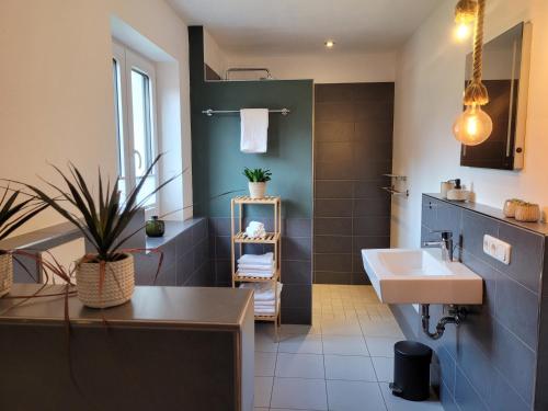 ein Badezimmer mit einem Waschbecken, einem WC und einem Spiegel in der Unterkunft Familienfreundliche großzügige Ferienwohnung Schlierachwelle zwischen Schliersee und Tegernsee in Hausham