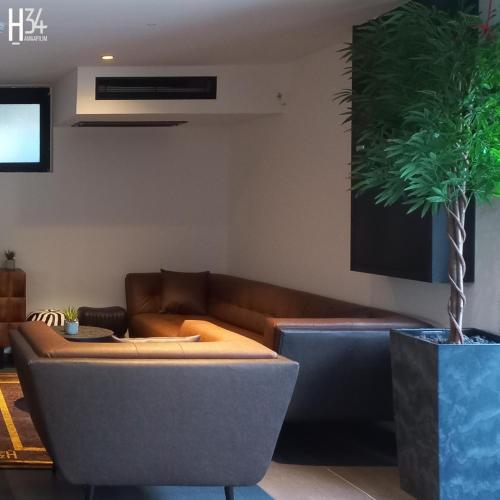 a living room with a couch and a potted plant at מלון בוטיק H34 in Nahariyya