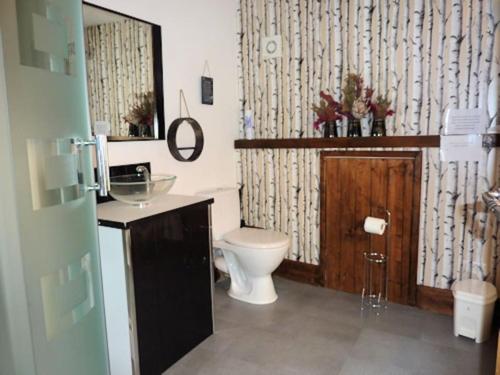 a bathroom with a toilet and a sink and a mirror at Ancient Oaks Centre Val-De Loire-Culan in Saint-Saturnin