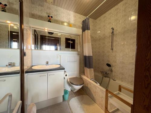 a bathroom with a toilet and a sink and a shower at Huize Liesanne in Bredene