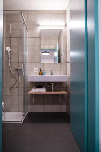 a bathroom with a shower with a sink and a mirror at Bogentrakt in Chur