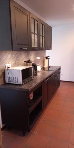 a kitchen with a counter with a microwave on it at Harz meets friends in Hasselfelde