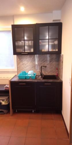 a kitchen with black cabinets and a sink at Harz meets friends in Hasselfelde