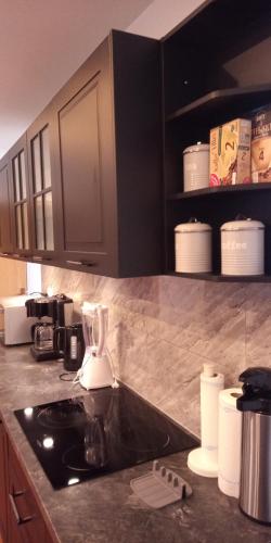 a kitchen counter with a blender on a counter top at Harz meets friends in Hasselfelde