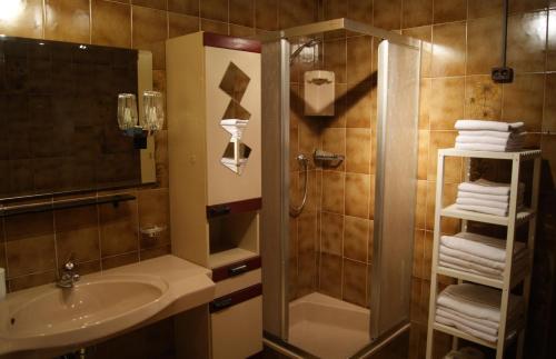 a bathroom with a shower and a sink and a shower at Sonnkogl in Wildschönau