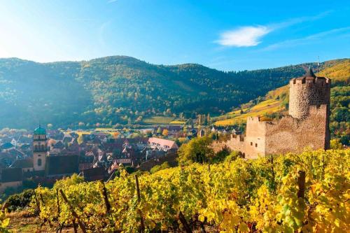 a town on a hill with a castle and vineyards at Studio cosy Kaysersberg centre in Kaysersberg