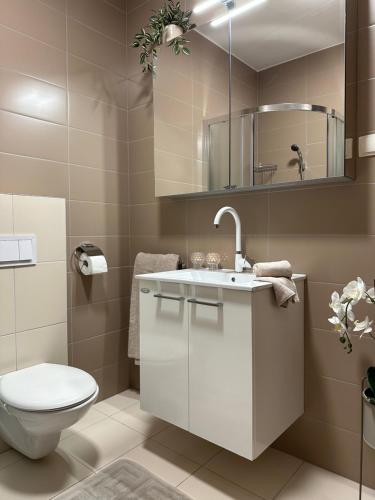 a bathroom with a toilet and a sink at Luxury Old Town Apartment with Sea View in Rogoznica