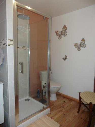 a bathroom with a shower with butterflies on the wall at Gîte 4 pers avec option sauna- Classé 3 étoiles- Sud charente 
