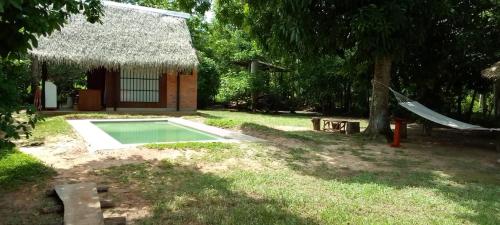 a swimming pool in a yard with a hammock and a house at Albertico Jungle House in Pucallpa