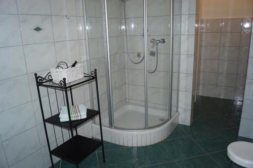 a bathroom with a shower and a sink at Landhaus Eickhof in Niederhaverbeck