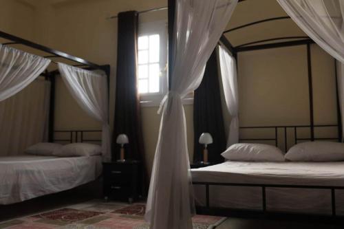 a bedroom with two beds with curtains and a window at Happiness Guest House in Luxor