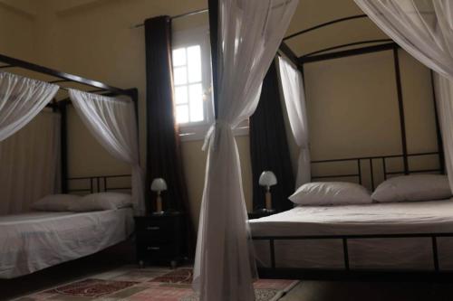 a bedroom with two beds with curtains and a window at Happiness Guest House in Luxor