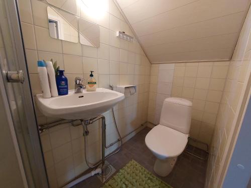 a small bathroom with a toilet and a sink at Penthouse with a balcony in Hyvinkää