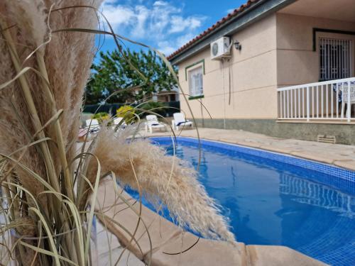 Riumar "Angeles", 210m to beach, private pool, On-Site-Service, dog beach