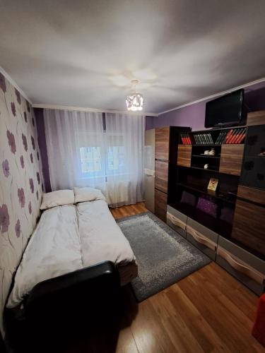 um pequeno quarto com uma cama e uma televisão em Apartament Raul em Sânmartin