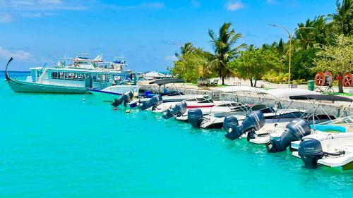 a bunch of boats docked in the water with a boat at Beach Cottage in Rasdu