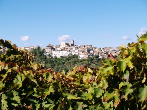 a town on top of a hill with trees at Villa San Giacomo in Scerni