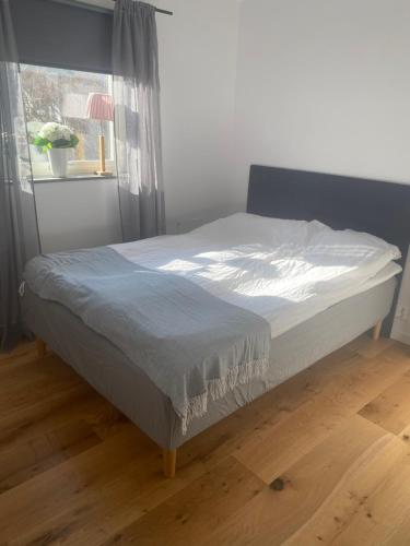 1 cama en un dormitorio con ventana en Monsunen, en Sölvesborg