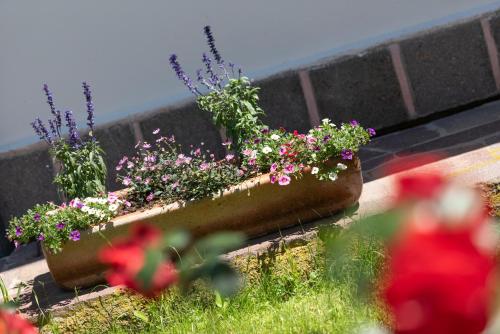 two planters of flowers on the side of a building at Eich-hof in Caldaro