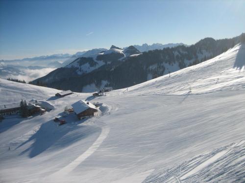 Το Schlossalm Ferienwohnungen τον χειμώνα