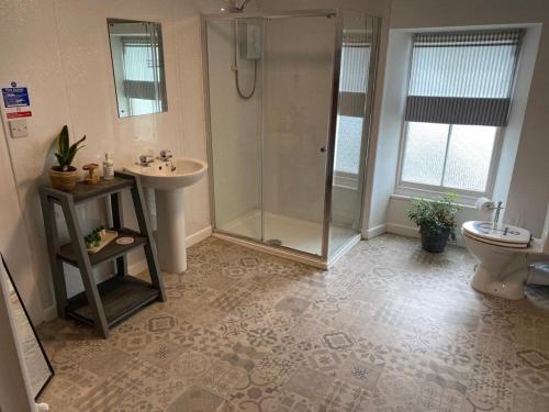 a bathroom with a shower and a sink and a toilet at Kings Arms in Llandysul