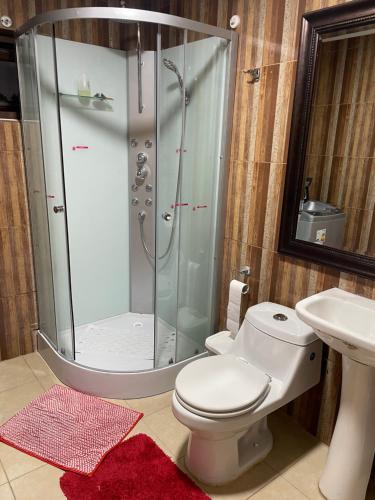 ein Bad mit einer Dusche, einem WC und einem Waschbecken in der Unterkunft Casa Sra Oti in Puerto Montt