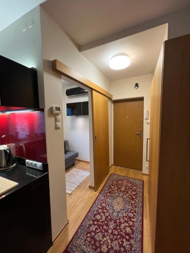 a living room with a door and a rug at Apartament Baryłka in Kazimierz Dolny