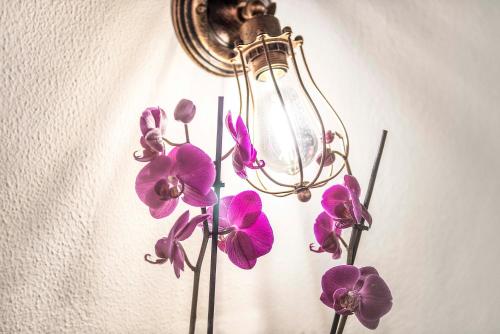 Stranamore Apartments Trastevere photo 25