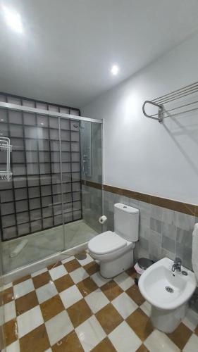 y baño con aseo, ducha y lavamanos. en LyriosHomes Apartamentos Los Tréboles, en Málaga