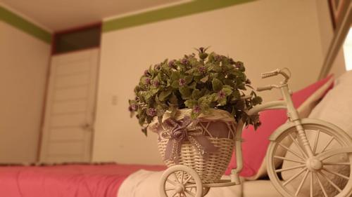 a bike with a basket with a plant in it at Renacer apartamentos in Tacna