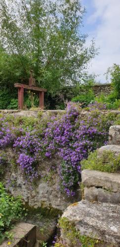 a cemetery with purple flowers and a cross on a hill at Le Moulin de Dannemarie in Dannemarie