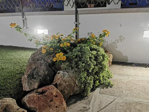 a bouquet of flowers sitting on top of rocks at Holiday House in Nardò