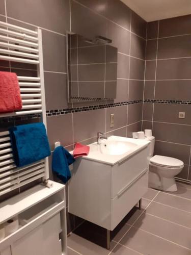une salle de bain avec un lavabo blanc et des toilettes dans l'établissement Appartement hyper-centre Issoire, à Issoire