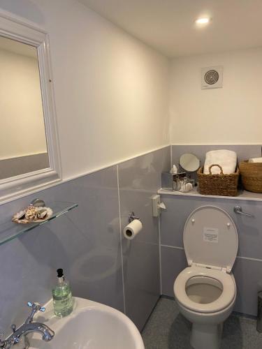 a bathroom with a toilet and a sink at Honeypot Guest House in Crail